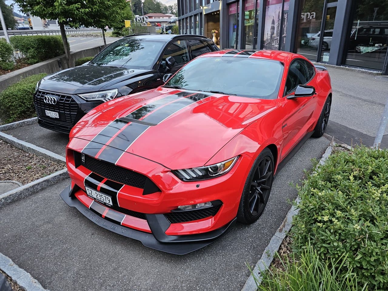 2015 머스탱 셸비 GT350의 참고 차종인 S550 셸비 GT350 실제 차량 사진